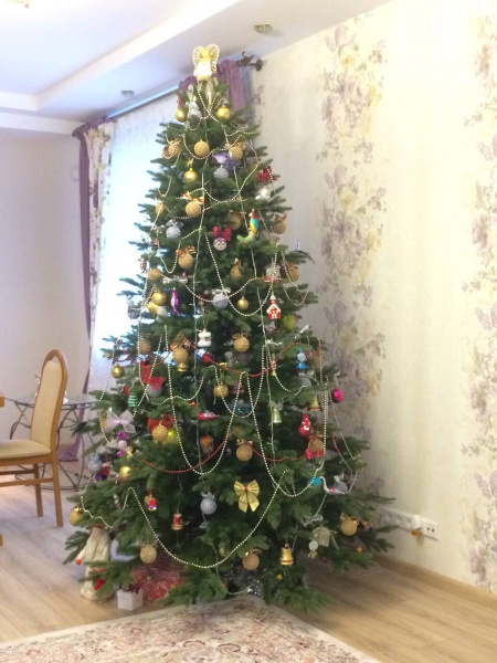 Ель "Премиум" (тёмная)